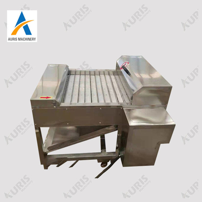 Slicer ψαριών κοπτών διακόσμησης με σειρήτι επεξεργασία μηχανών και παγωμένο κοπή Hairtail
